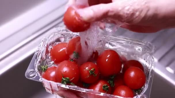 Femme Mains Laver Les Tomates Cerises Dans Évier Cuisine Gros — Video