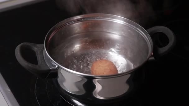 Gotowanie Jaj Garnku Kuchence — Wideo stockowe