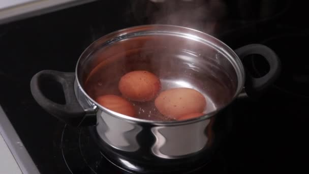 将煮沸的鸡蛋放在炉子上 — 图库视频影像