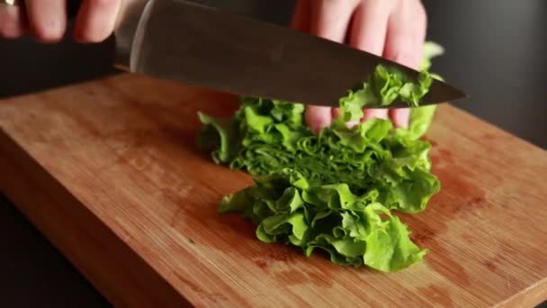Close Stock Video Capturing Hands Woman Delicately Slicing Fresh Lettuce — Stockvideo
