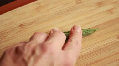 Taze Basil Yaprakları Yuvarlanmış ve Dilimlenmiş İnce - Yakın plan