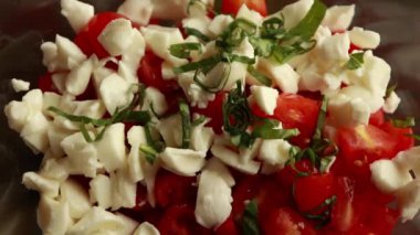Caprese Salatası 'na Taze Basil Yaprakları Ekleniyor - Yakın plan