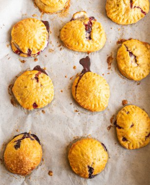 Taze yaban mersinli Rustik Krem Peynirli Puf Böreği