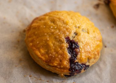 Taze yaban mersinli Rustik Krem Peynirli Puf Böreği