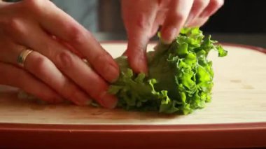  Tahta kesme tahtasının üzerinde taze marul doğrayan bir kadının ellerini yakın plan çekimde.