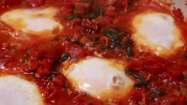 Shakshuka domatesi ve yumurta pişiriyorum. Kahvaltıyı fırının üstünde yakın plan bir tavada yapıyorum.