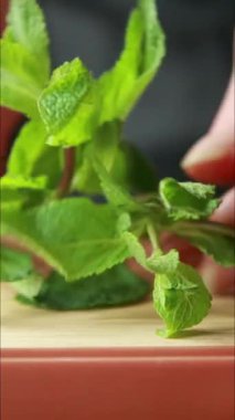 Tahta bir tahtanın üzerinde taze nane doğrayan bir bıçağı gösteren dikey yakın plan bir video. Parlak yeşil nane yaprakları ince dilimlenmiş.