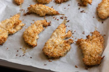  Hindistancevizi parçalarıyla kaplı fırında tavuk filetosu. Tropik aromalı yemek, çıtır çıtır, zengin lezzet akşam yemeği için mükemmel yemek.