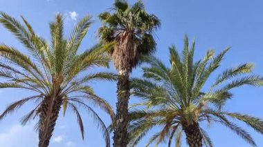 İspanya şehri manzaralı güzel bir yer stok videosu