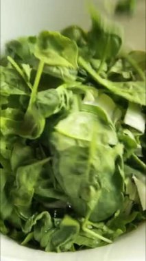 Büyük Kasede Taze Yeşil Salata Hazırlanıyor