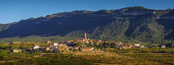 西班牙加泰罗尼亚Tarragona省的Ulldemolins全景 位于Serra Montsant山脉脚下 可用作网页横幅 — 图库照片