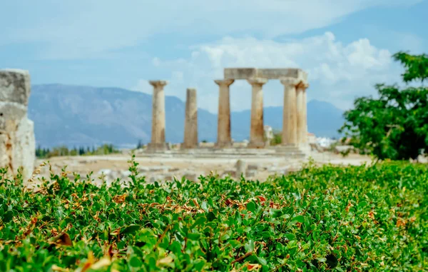 View Remains Famous Temple Apollo Ancient Corinth Greece Green Bush — Stock Photo, Image