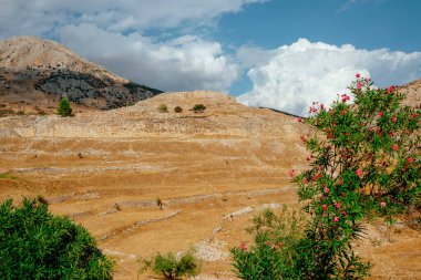 a view of the ruins of the acropolis of Mycenae, in Greece, in present-day Argolis, on a summer day