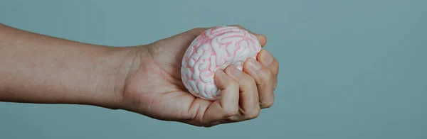 Closeup Man Squeezing Fake Brain His Hand Gray Background Some — Stok fotoğraf