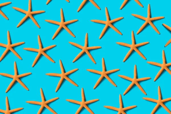 Algumas Estrelas Mar Secas Cor Laranja Dispostas Linhas Diferentes Num — Fotografia de Stock