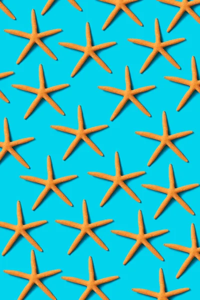 Algumas Estrelas Mar Secas Laranja Formando Mosaico Sobre Fundo Azul — Fotografia de Stock