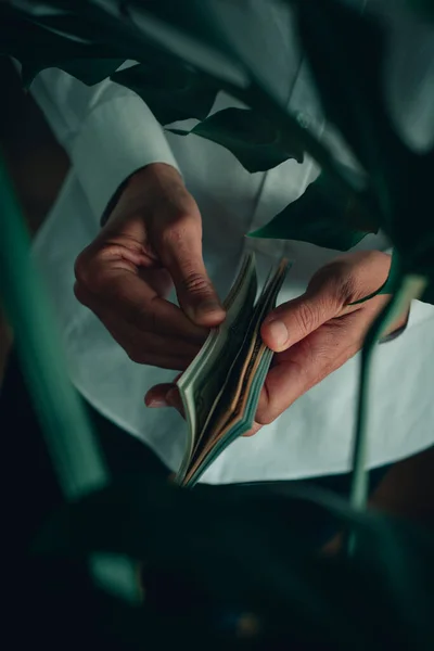 一个穿着白色长袖衬衫的男人 在屋里数着一些钞票 这些钞票是通过海葵的叶子看出来的 — 图库照片