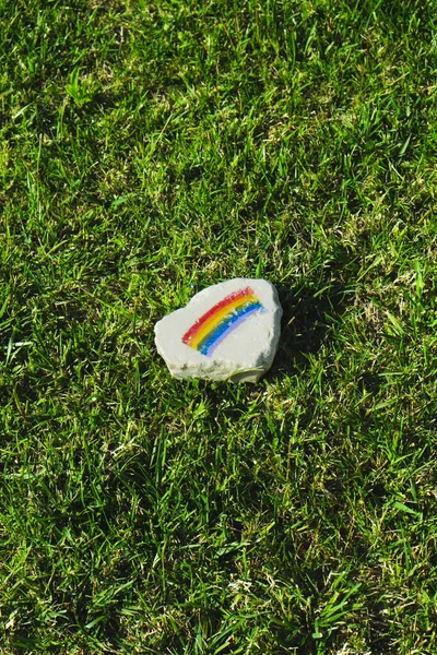 High Angle View Rock Rainbow Flag Painted Grass — Stock Photo, Image