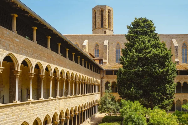 Detail Cloister Monastery Pedralbes Barcelona Catalonia Spain Summer Day — Stock Photo, Image