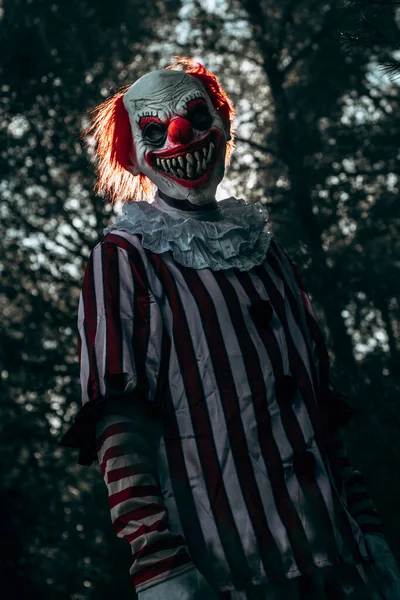 一个疯狂邪恶的红头发小丑的特写 身穿白色和红色条纹衣服 头戴白色的皱领 在树林里带着怪异的微笑凝视着观察者 — 图库照片