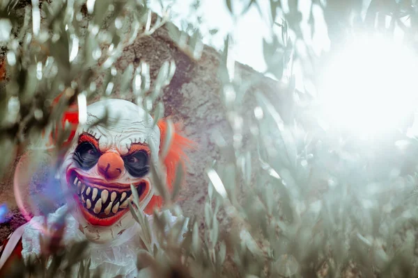 一个邪恶小丑的特写镜头 他透过树枝 在一座老房子前面 带着恐怖的微笑凝视着观察者 — 图库照片