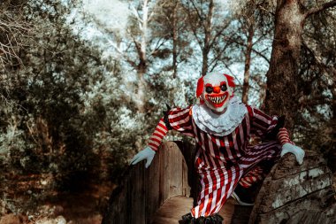 Beyaz yakalı beyaz ve kırmızı çizgili bir kostüm giyen, ormanda yıpranmış ahşap bir makarada, gözlemciye bakan deli bir kızıl saçlı palyaçoya yakın çekim.