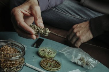 Elinde esrar tomurcuğu olan bir adamın yakın plan fotoğrafı, bir koltukta oturuyor, yanında öğütücüyle birlikte bir biber öğütücüsü ve yuvarlanan bir tütün kavanozu var.