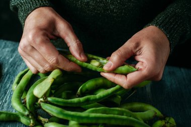 Geniş fasulye kapsülleriyle dolu, kır gri bir ahşap masada bir adamın kabuğunu soyması.