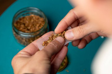 Tütünle karıştırılmış öğütülmüş kenevirle esrar yapan bir adamın yakın çekimi.