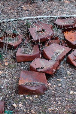 Çürüme evresinde bir ormanın zeminine atılmış eski paslı teneke kutuların yakın çekimi.
