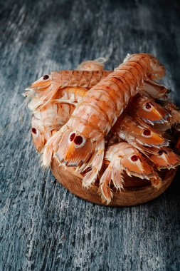 İspanyol galerisi olarak bilinen peygamber devesi karidesi türü gri bir kır ağacının üzerinde.