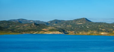 İspanya 'nın Cordoba ilinde yer alan Genil Nehri' ndeki Iznajar rezervuarı güneşli bir bahar gününde panoramik bir formatta düzgün hizalanmış zeytin ağaçlarıyla çevrilidir.