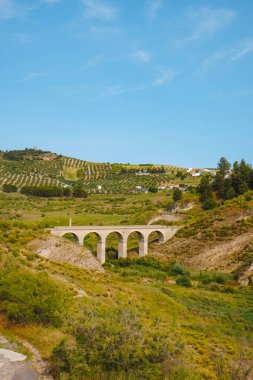 İspanya 'nın güneyindeki Iznajar kentindeki Priego Nehri' ni taştan bir köprü kaplıyor. Suyu Iznajar rezervuarına doğru kıvrılıyor.