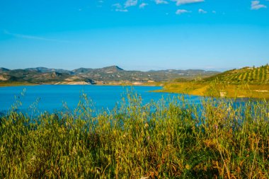 Iznajar rezervuarının manzarası, Genil Nehri üzerinde, güney İspanya 'nın Cordoba eyaletinde, güneşli bir bahar günü, yuvarlanan tepelerle çevrili.