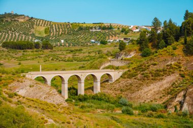 İspanya 'nın Cordoba eyaletindeki İznajar kentindeki Priego deresinden geçen ve suları güneşli bir bahar gününde Iznajar rezervuarına akan taş bir köprünün görüntüsü.