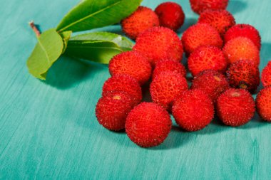 Arbutus meyveleri yeşil yapraklardan oluşan bir filizin yanında gevşek bir yığın oluşturur. Arbutus unedo meyvesi olarak da bilinir. Çilek ağacı olarak da bilinir.