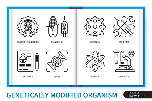 Genetically Modified Organism Gmo Infographics Elements Set Transgenic Genetic Engineering — Stock Vector