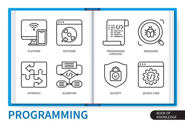 Programmeren Infographics Elementen Ingesteld Platform Software Broncode Beveiliging Programmeertaal Aanpak — Stockvector