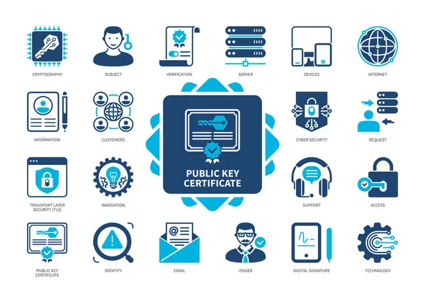 Public Key Certificate Icon Gesetzt Technologie Innovation Kryptographie Thema Verifizierung — Stockvektor