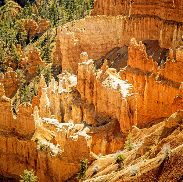 犹他州布莱斯峡谷的景观 — 图库照片