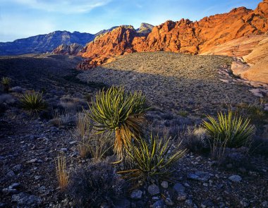 Red rock canyon Nevada