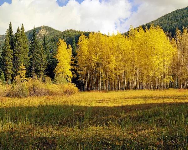 Rocky Dağlarında Sonbahar Ulusal Parkı Colorado — Stok fotoğraf