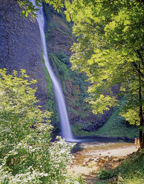 Latourel Falls Guy Talbot State Park Oregon — Stockfoto