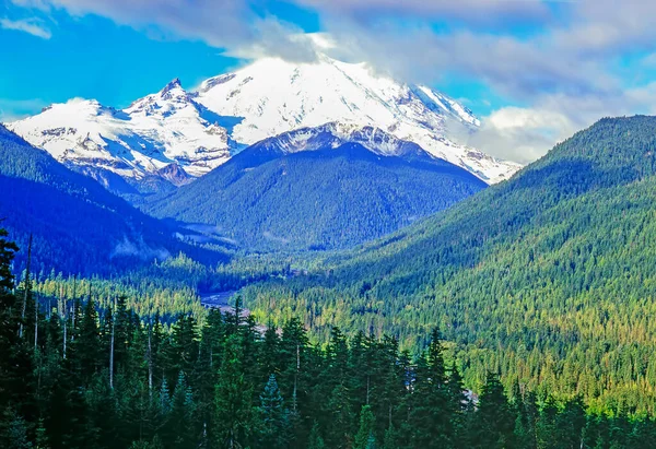Rainier Der Kaskadenkette Des Pazifischen Nordwestens Washington — Stockfoto