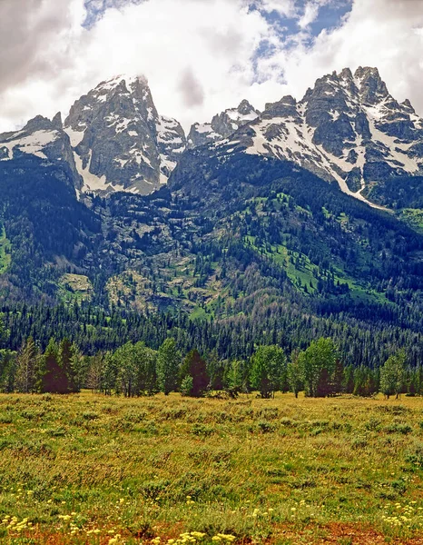 Veld Grand Teton Wyoming — Stockfoto