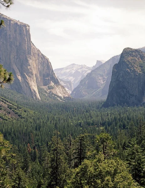 Vale Yosemite Parque Nacional Yosemite Califórnia — Fotografia de Stock