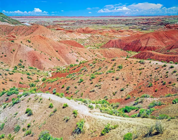Bemalte Wüste Arizona — Stockfoto