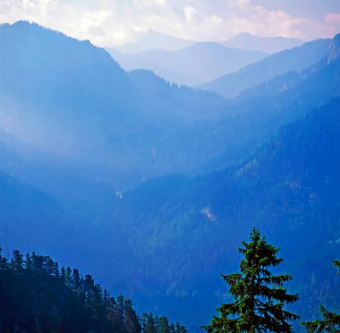 Almanya'da Bavyera Alpleri