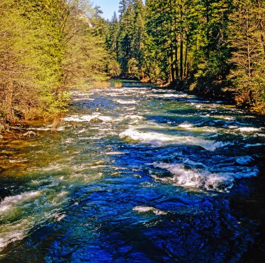 Kaliforniya 'daki Mountain Creek