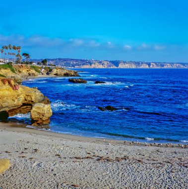 La Jolla, Kaliforniya 'daki Pasifik Sahili